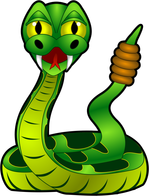 Anaconda PNG Cartoon Vector image Free Transparent