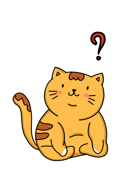 Cat orange cat fat cat PNG Free Download