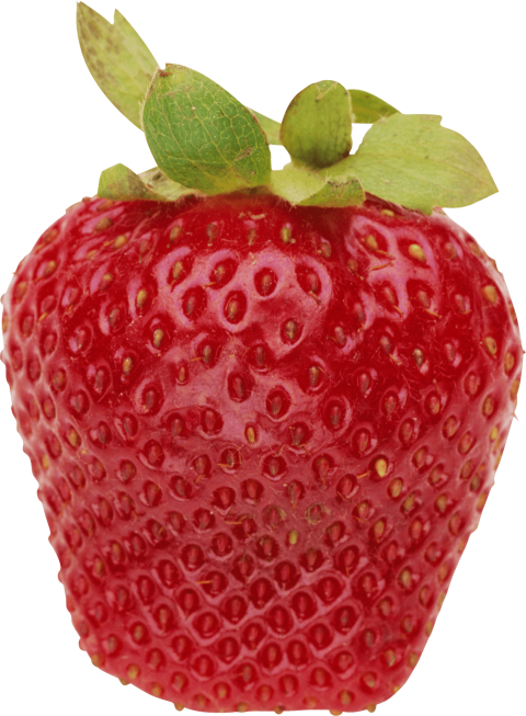 Illustration Strawberry Image PNG Free Download