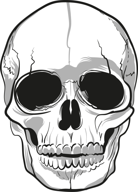 Artistic Skeleton PNG Sketch Free Download