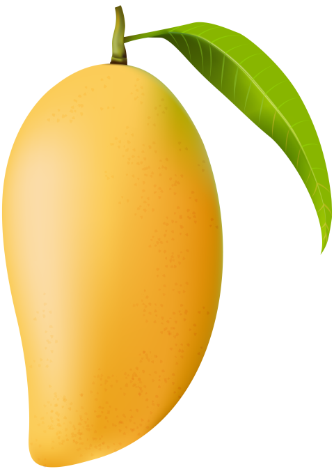 Big Mango with leaf PNG Transparent Background