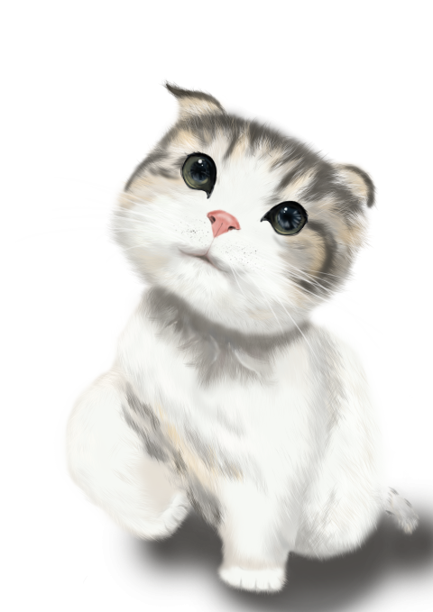 Cat living body young cat Free PNG Download