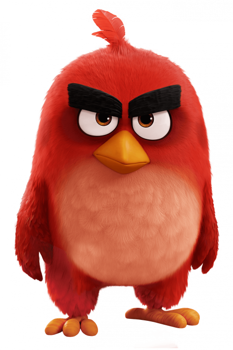 3d Angry Bird Standup png free download