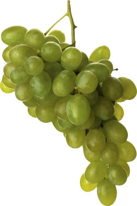 Grapes Juicy Drop Food PNG Wall Free Downloaded