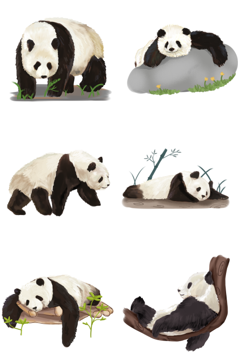 Simulation of giant panda animal Free PNG Download