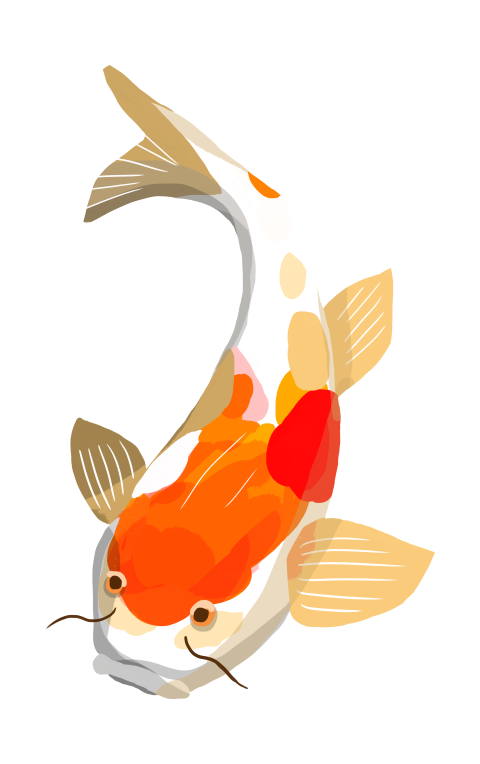 Fish in the water Free PNG Download