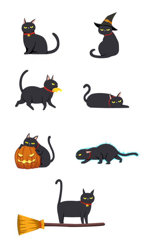 Halloween black cat cat animal PNG Download