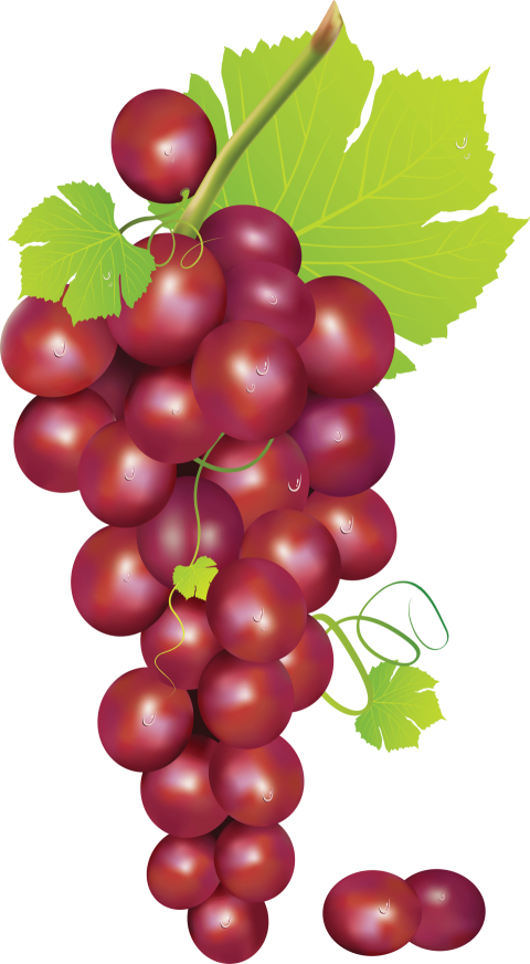 Red Uva Grapes Transparent Background Picture PNG Free Download