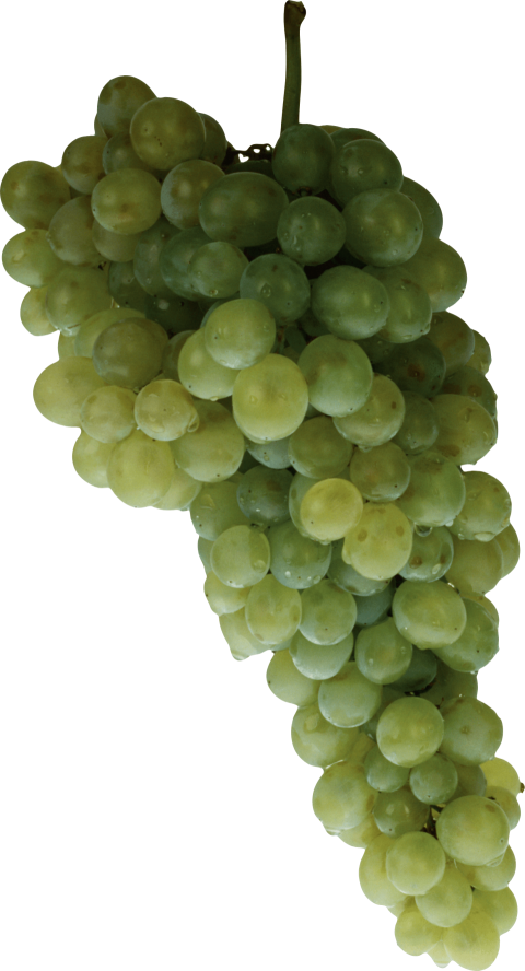 Green Grapes PNG Transparent Background Grapes seedless Image PNG free Download