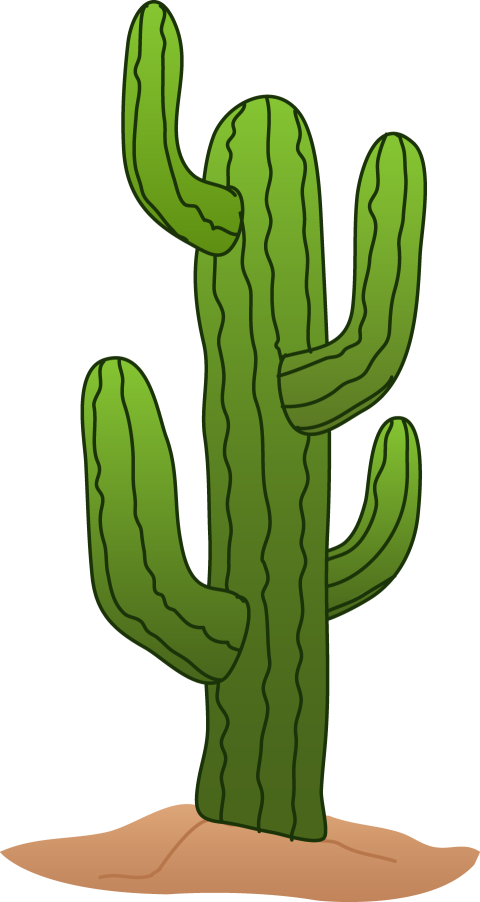 Realistic HD Cactus PNG Free Image Download