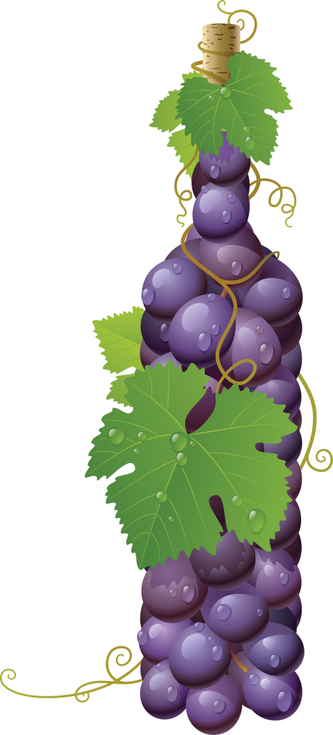 HD Illustration Purpal Grapes Botel Shapes PNG Free Download