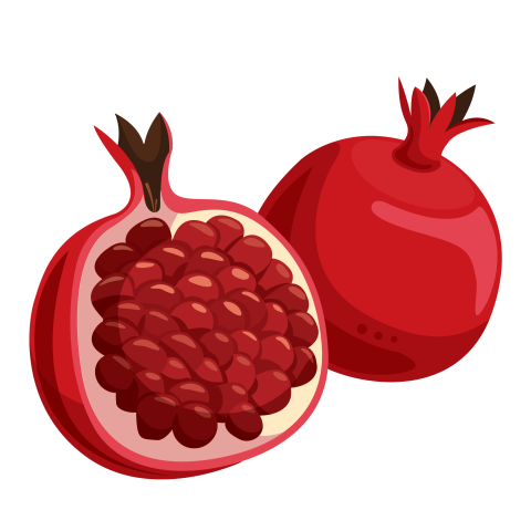 Pomegranate Vector Graphic Art Image PNG Download