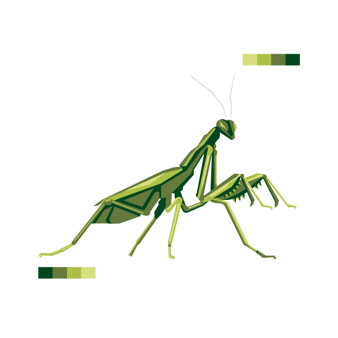 Desktop Free Praying Mantis arthropod PNG Image Free Download
