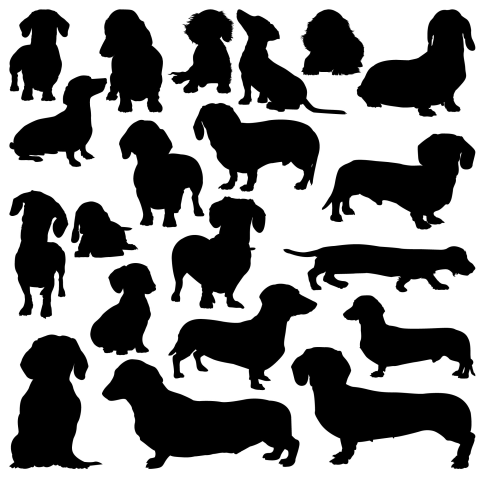 Silhouettes dog dachshund Download Free PNG