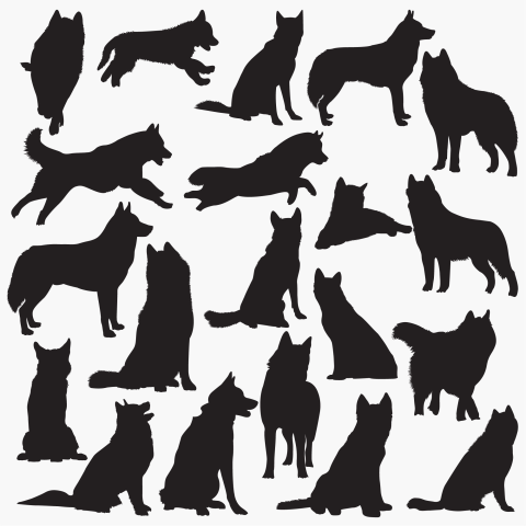 Siberian husky dog silhouettes PNG Download