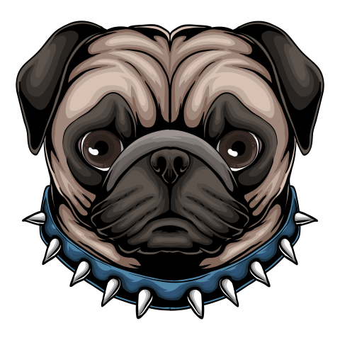 Pug dog head a wearing Free Download PNG