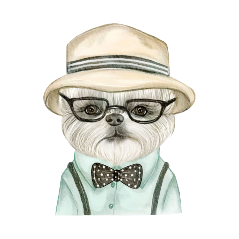 Adorable cute dog with hat Free Download PNG