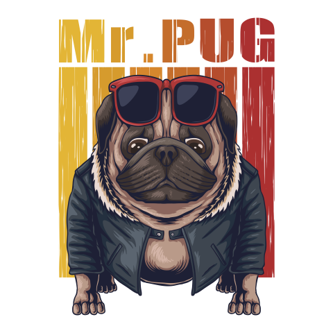 Pug dog cool vector illustration Free PNG Download