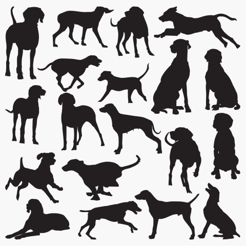 Weimaraner dog silhouettes PNG Free Download