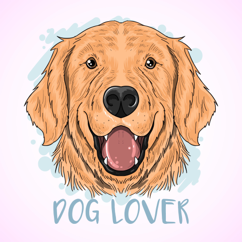 Dog cute golden PNG Download Free