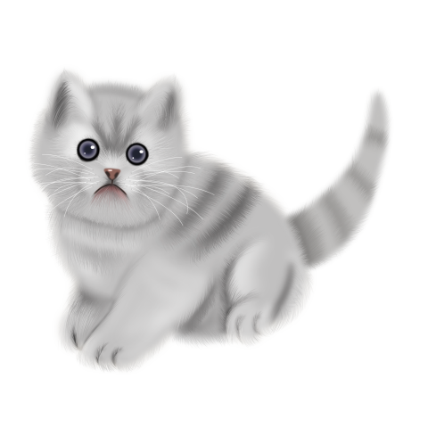 Simulation pet cat png pattern Free Download