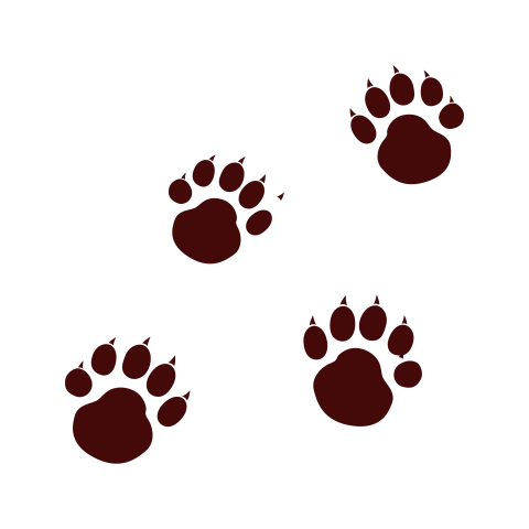 Cat paw walking trace PNG Free Download