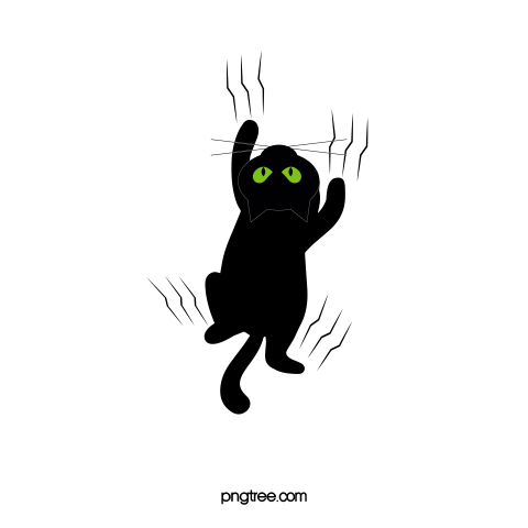 The black cat s claw marks PNG Free Download