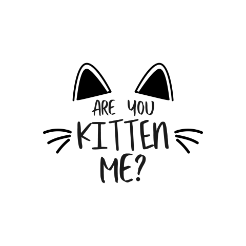 Cat quote lettering typography are PNG Download