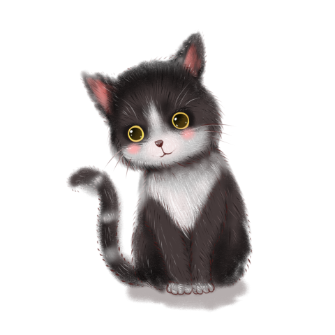 Animal series cute kitten PNG Free Download