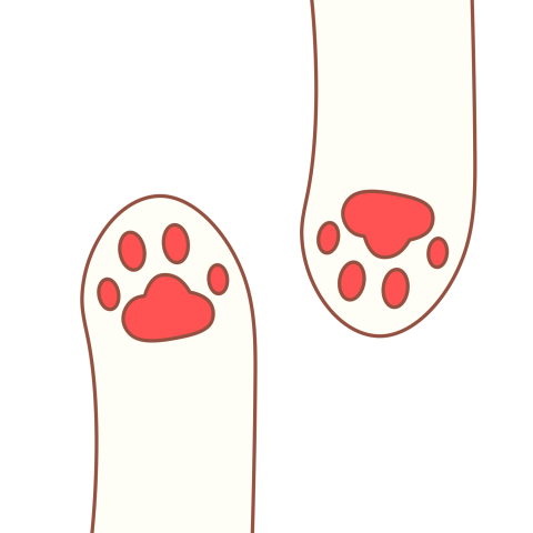 Cat paw footprint Free PNG Download