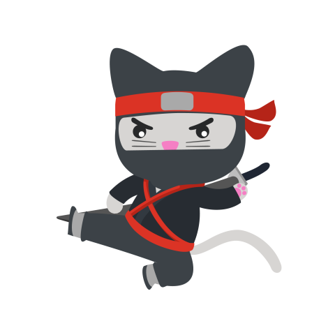 Cat kitten ninja ninja ninj Free Download PNG