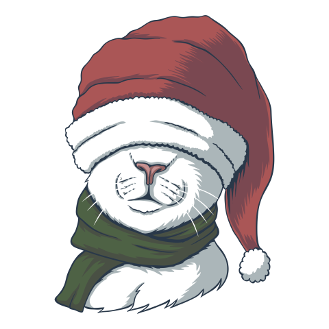 Cat wearing a santa hat PNG Free Download