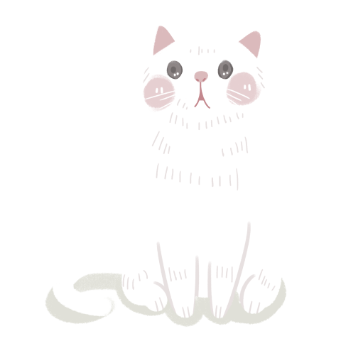Cute pet white cat illustration PNG Download