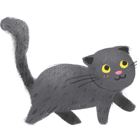 Domestic pet cat PNG free Download