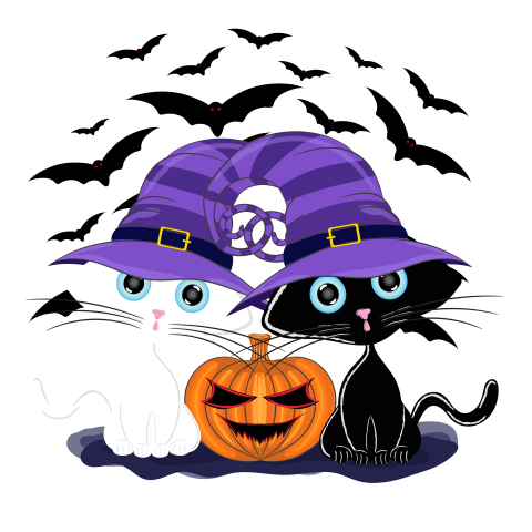 Halloween cat pumpkin bat illustration PNG free Download