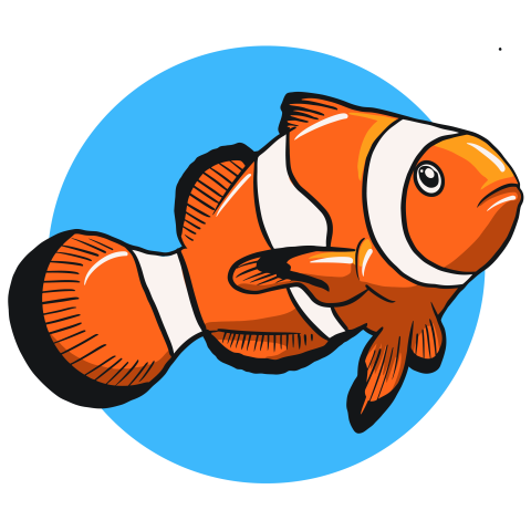 Clown fish Free Download PNG