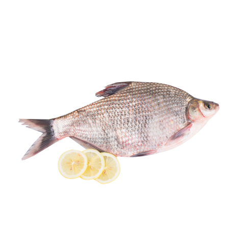 Fresh fish PNG Image