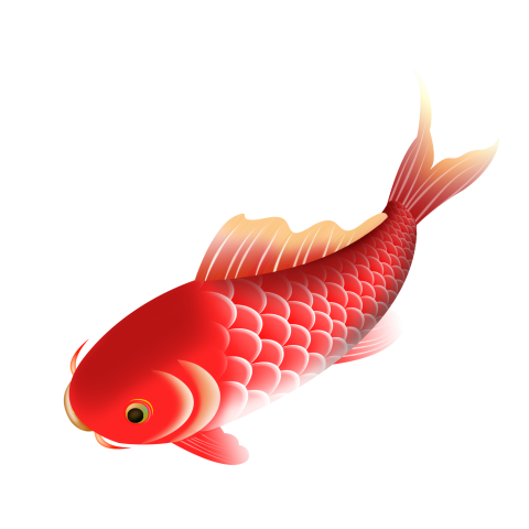 Koi red goldfish fish PNG free Download