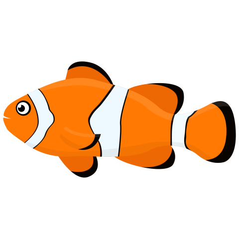 Nemo fish clipart design PNG free Download