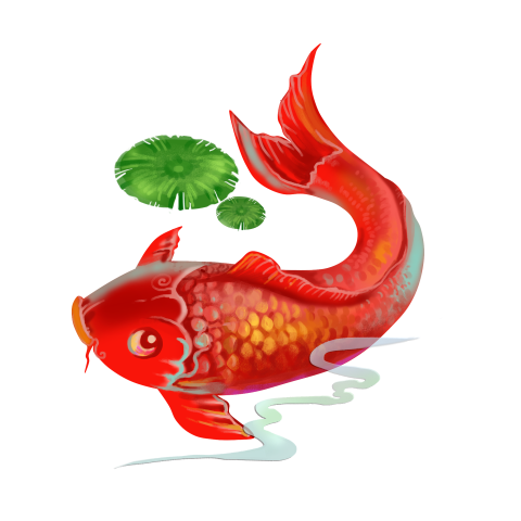 New year koi fish red PNG Image Free Download