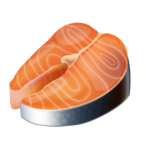 Salmon fillet fish meat cartoon PNG free Download