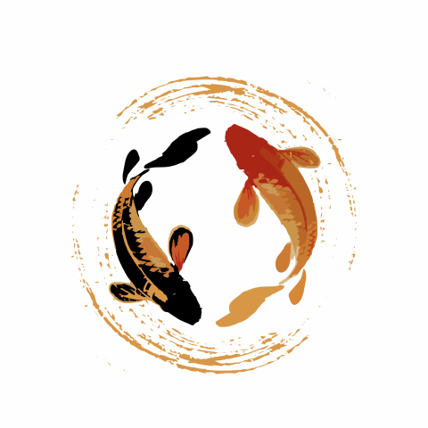 Couple of koi fish illustration PNG Download