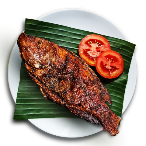 Grilled fish on a white PNG download