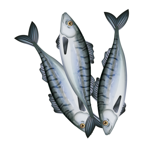 Lifelike realistic realistic fish cartoon PNG Free Download