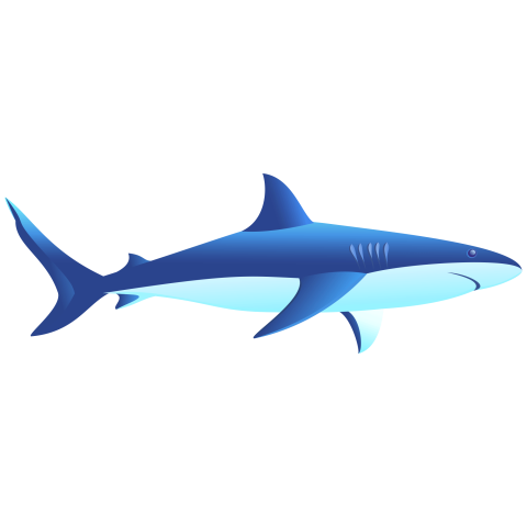 Cartoon shark underwater world seabed PNG Free Download