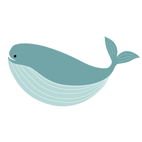 Whale whale blue whale fish PNG Free Download