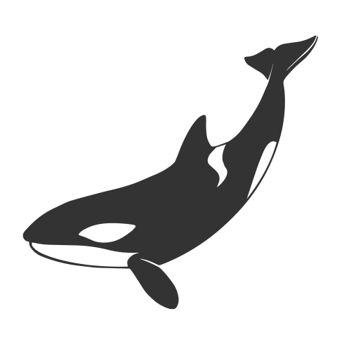Orca killer whale fish PNG Download