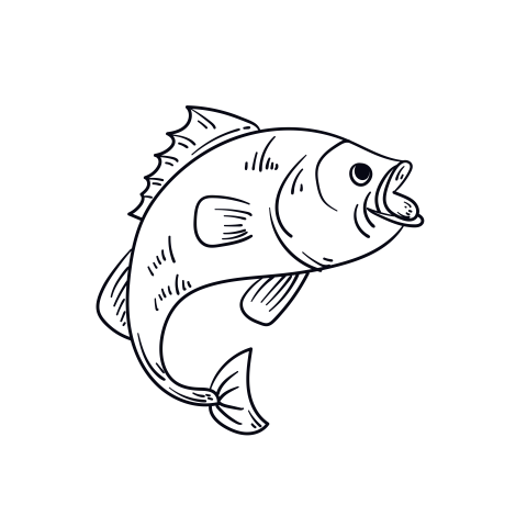 Fish black and white lineart PNG Free Download