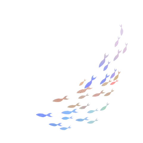 School of fish PNG Free Download