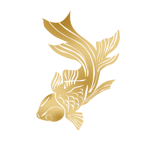 Golden goldfish have fish every Download PNG